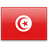 國旗的突尼斯